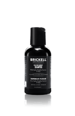 Relieving Dandruff Shampoo, Brickell Men's Products, Jojoba, Ziziphus Joazeiro Bark Extract, Aloe Vera, Natural, Organic, Hair Shampoo for Men, Mens Hair Shampoo, Travel Size, Small Bottle Shampoo, Best Shampoo for Men, Healthy Shampoo, Top Rated Shampoo for Men