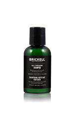 best men's shampoo for travel
